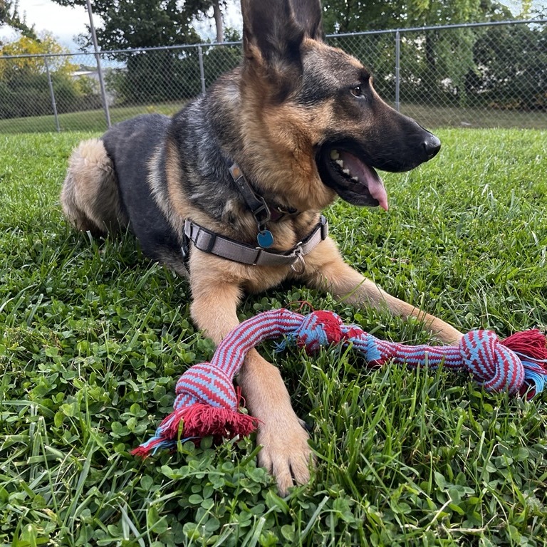 Floki, photo 17