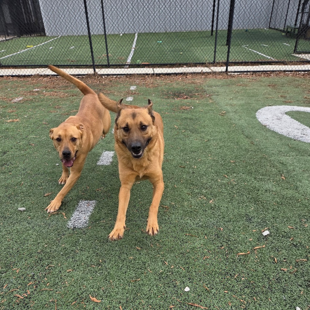 Sponge Bob — thumbnail 5