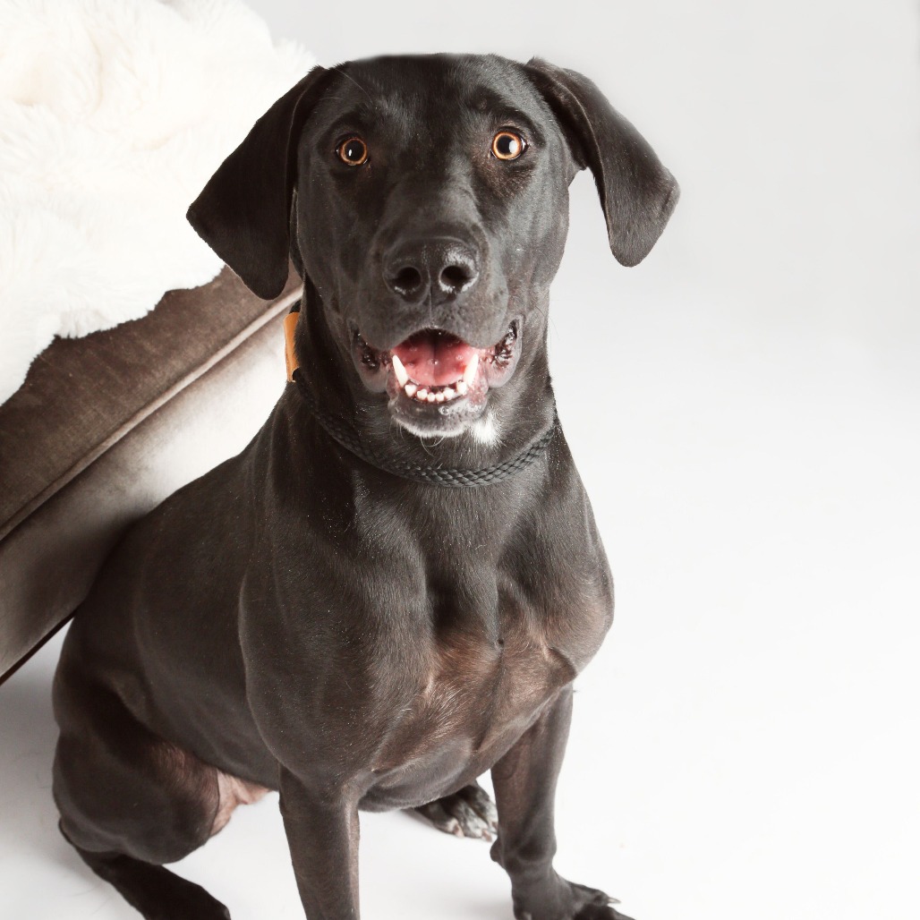 Maggie5, photo 3