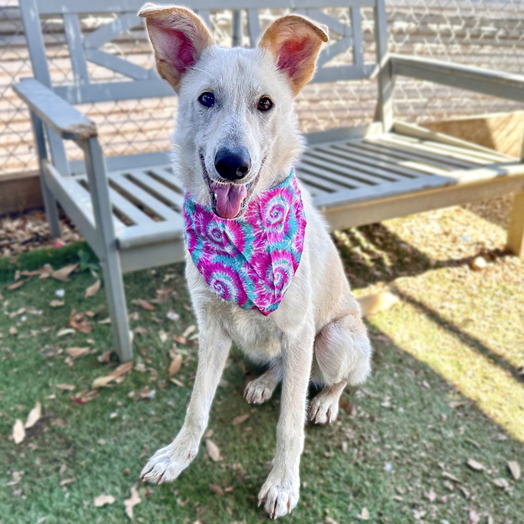 Crinkle Cut — thumbnail 9