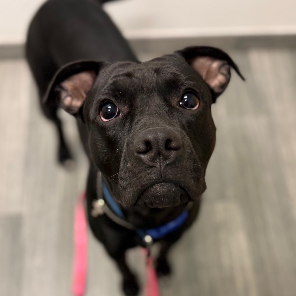 Winnie
