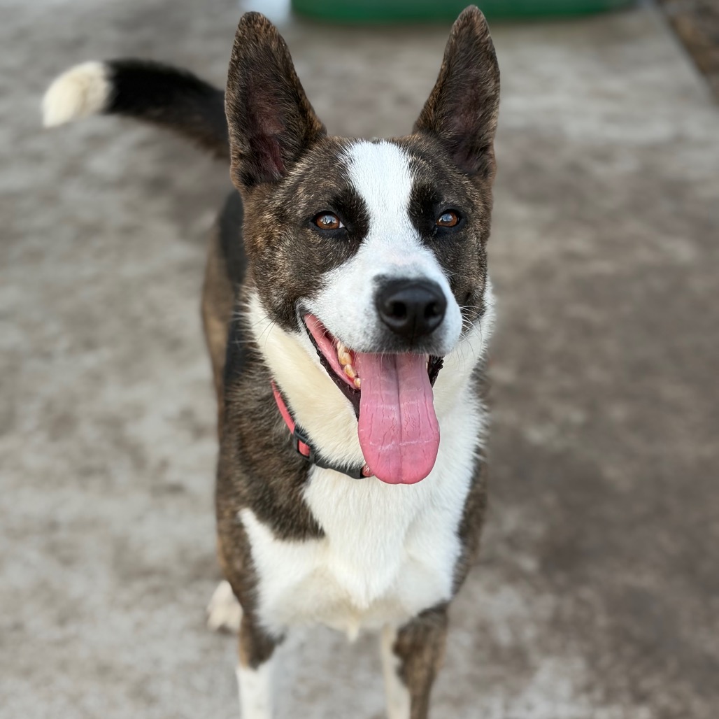 Sophie photo 14