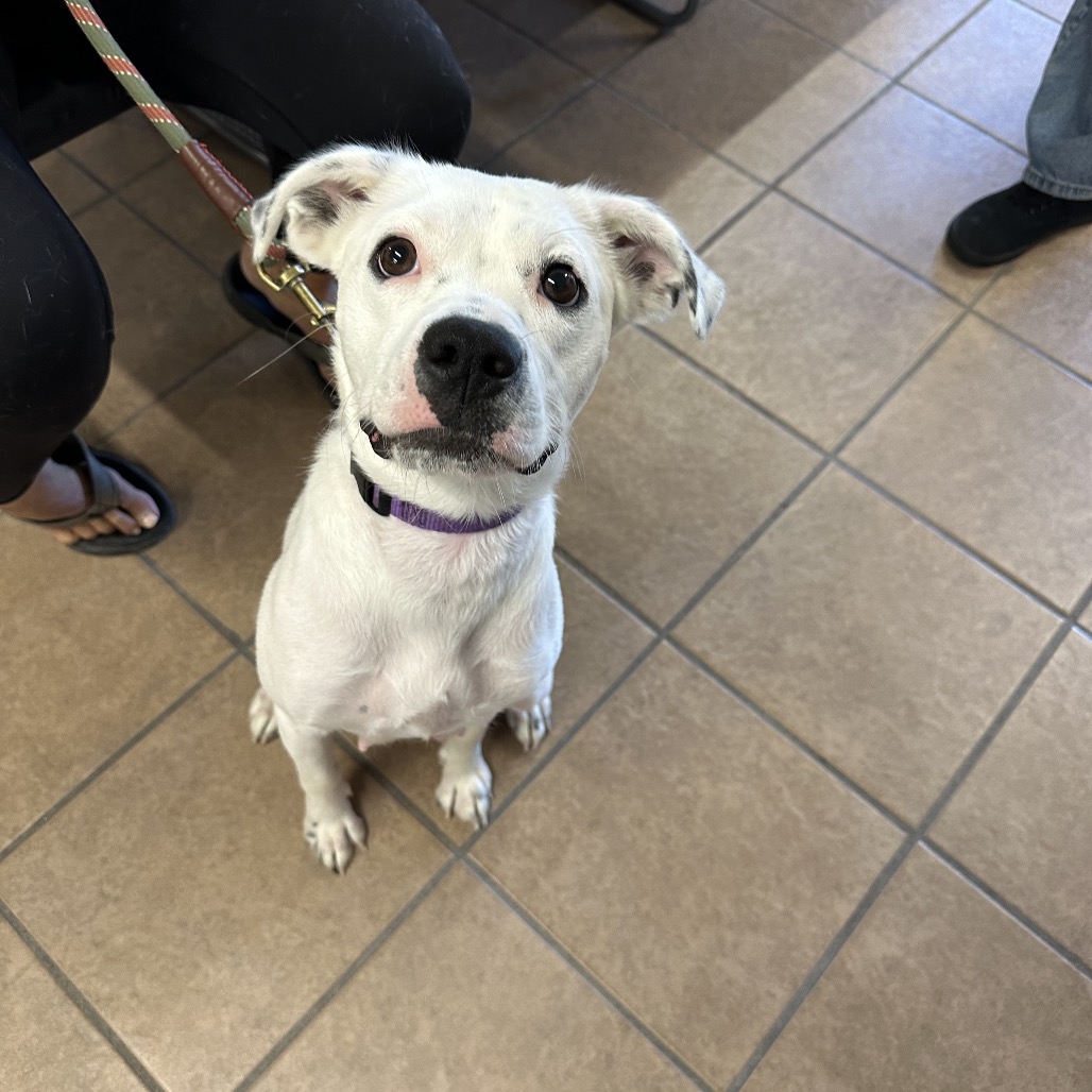 Crystal — thumbnail 5