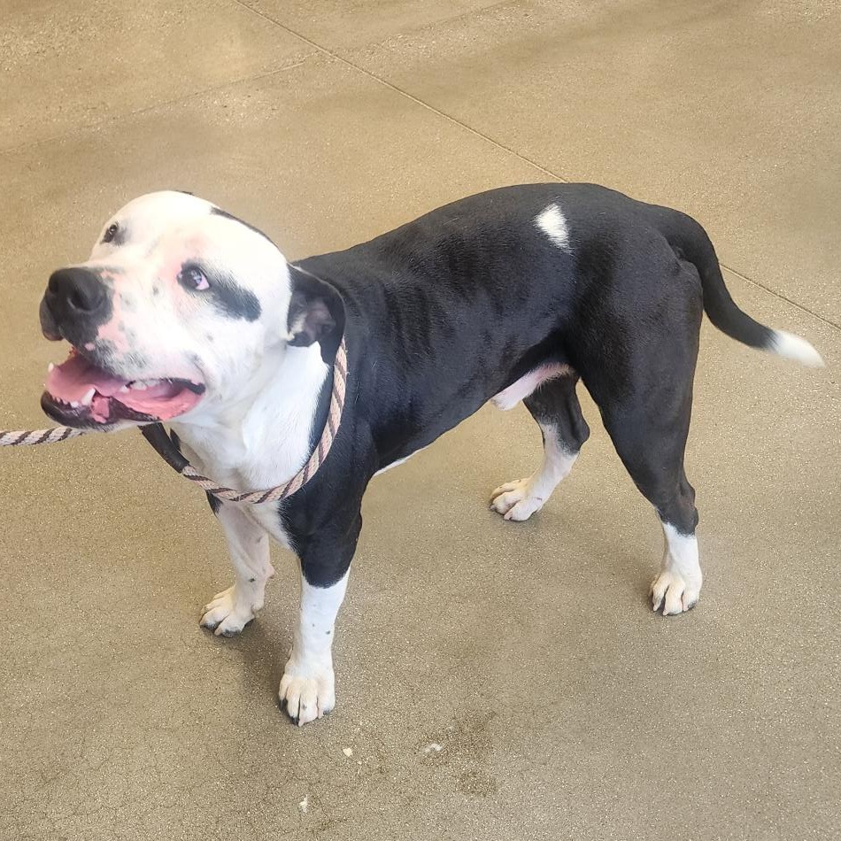 b2af084429a75458bd10b37219fbe744