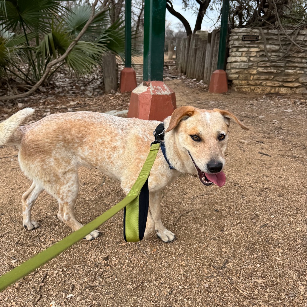 Amelia Earhart — thumbnail 8