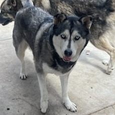 Luna