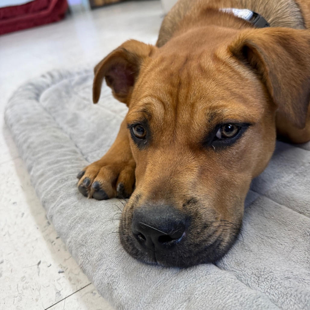 Kali Letty — thumbnail 4