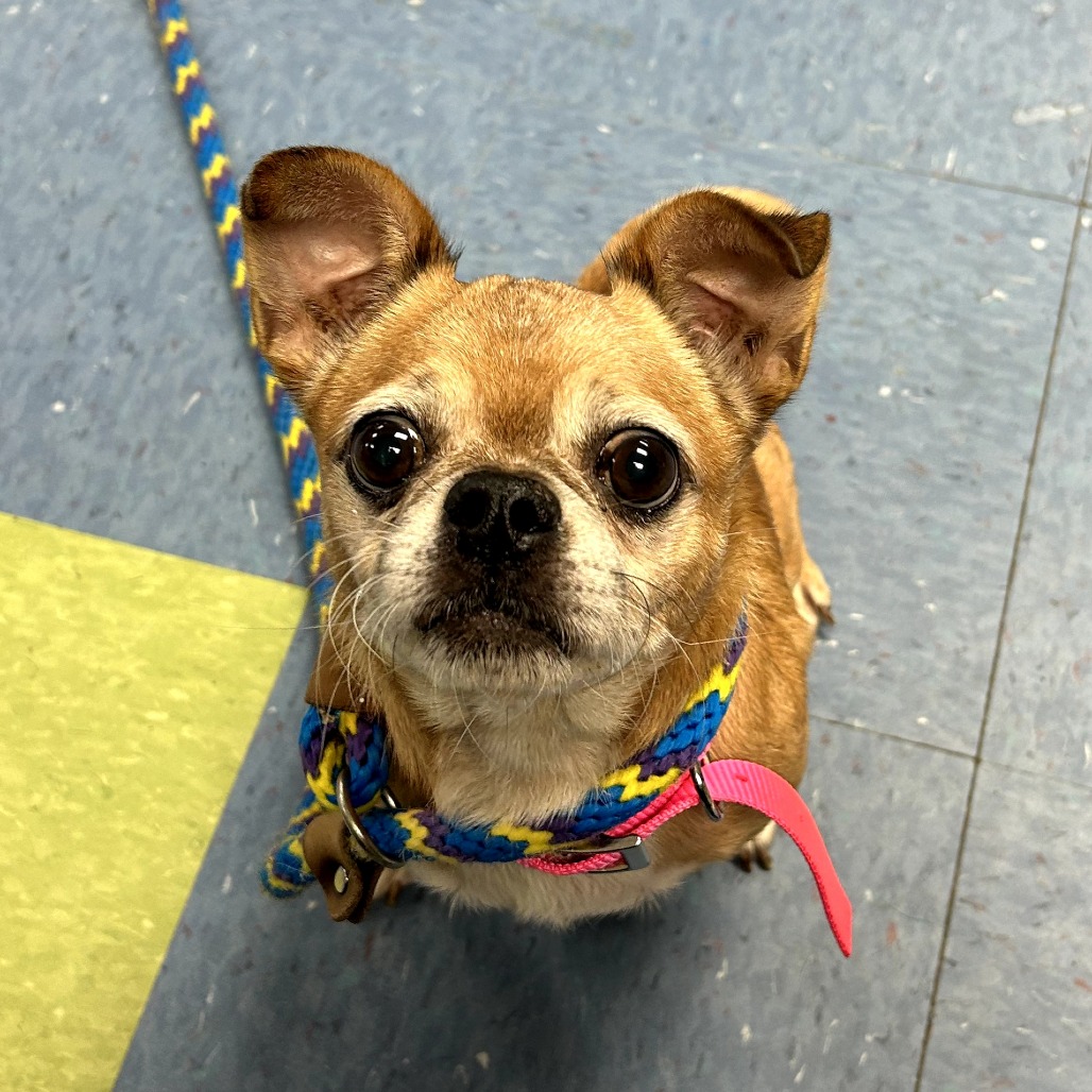 Cowboy Kelvin — thumbnail 2