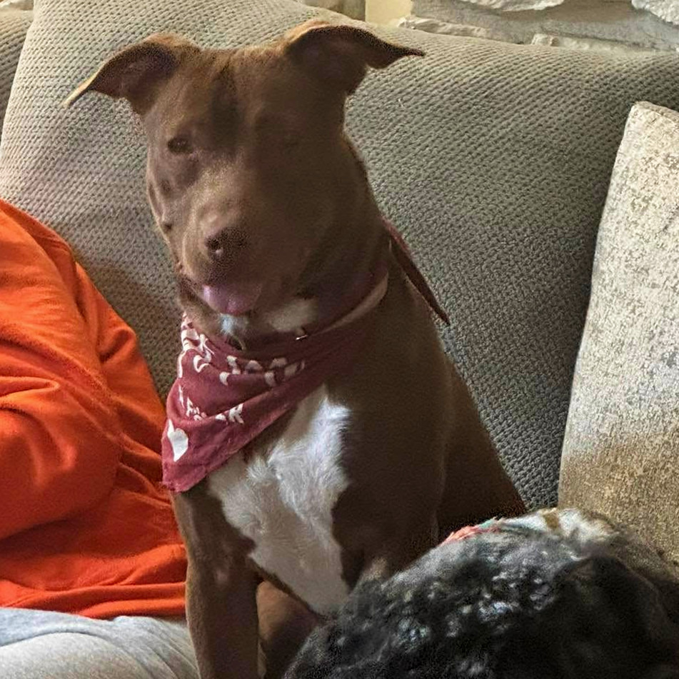 Photo of Starcraft 19