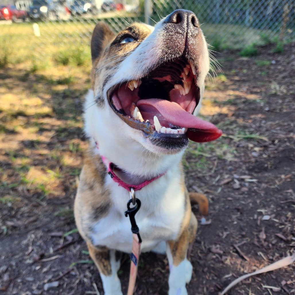 Holiday — thumbnail 3