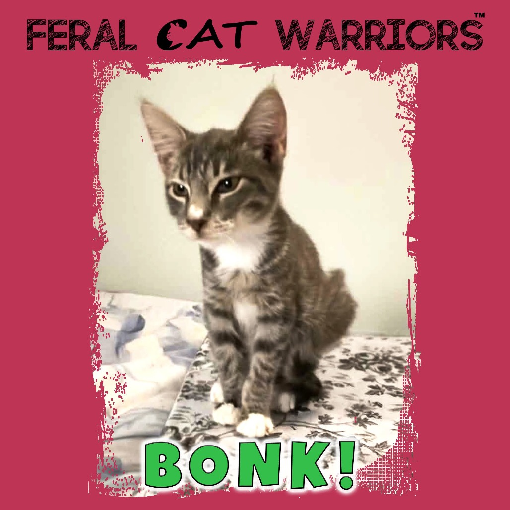 Bonk!