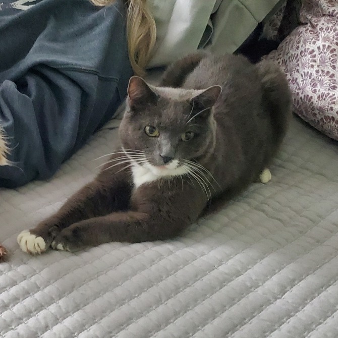 Applesauce, photo 27