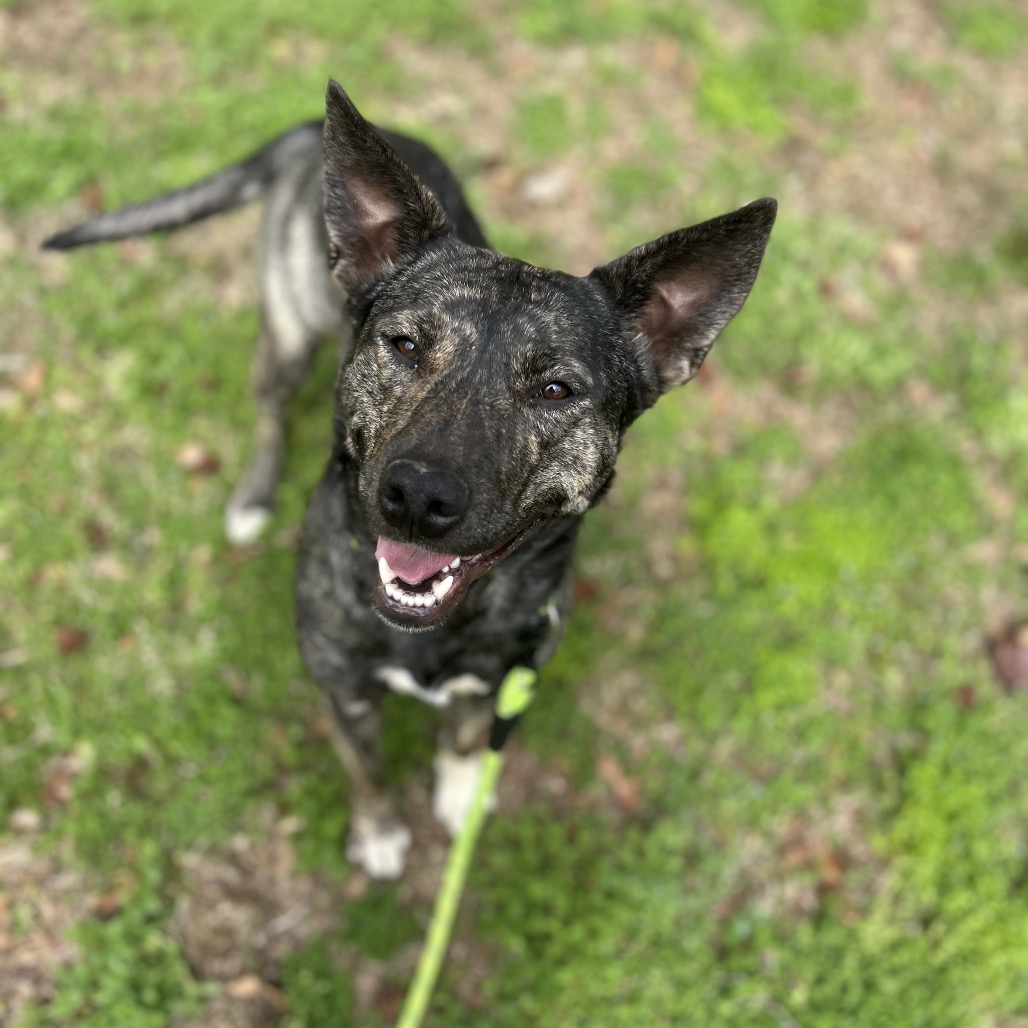 Evey — thumbnail 4