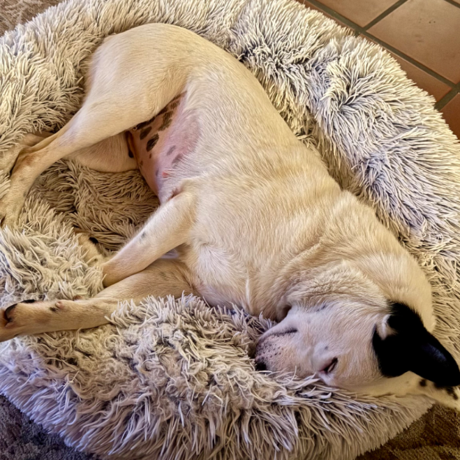 MISTY, photo 3