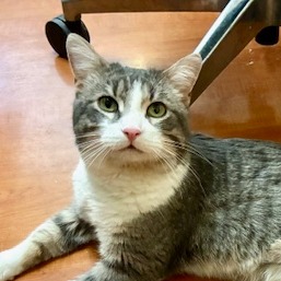 Hugh — thumbnail 4