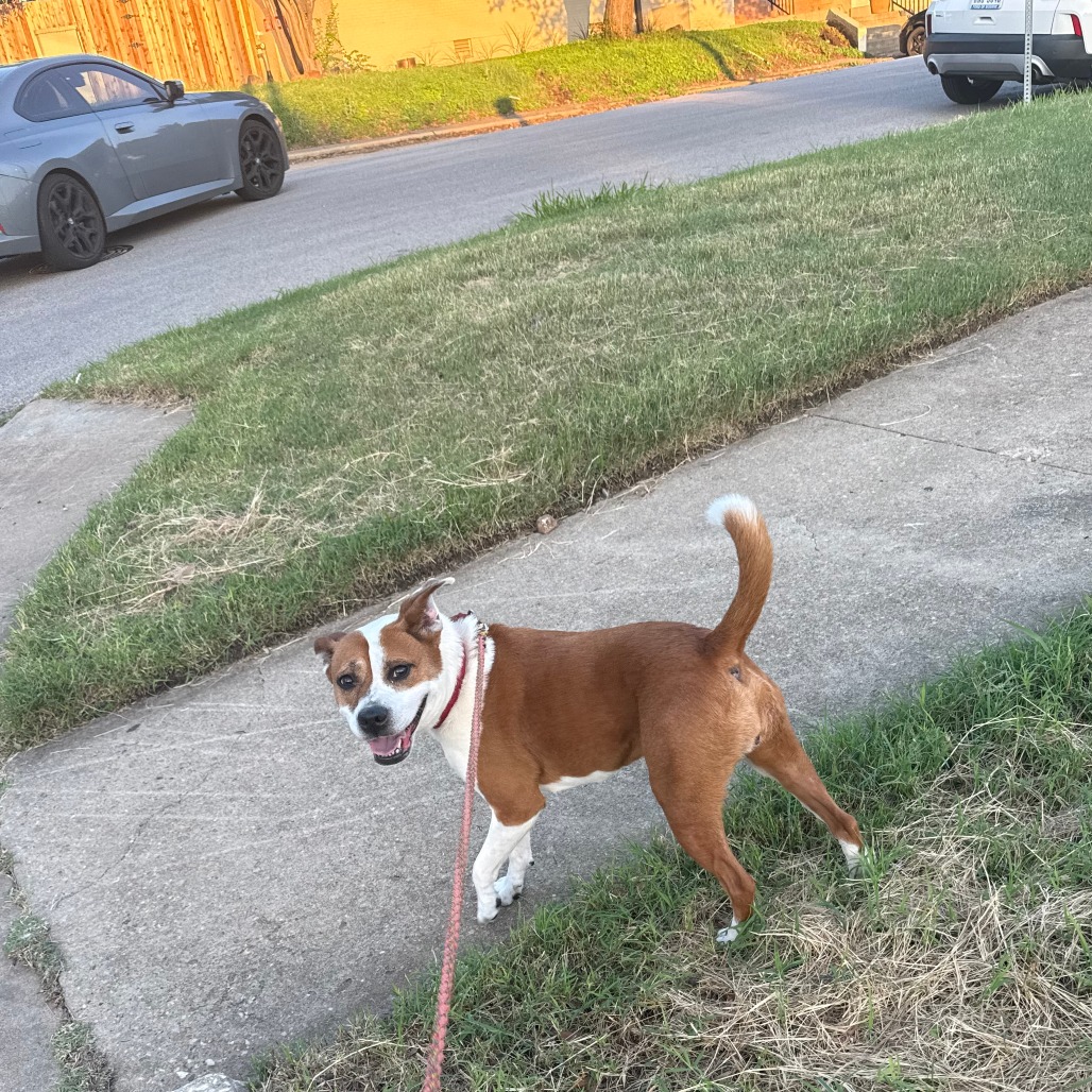 Daisy, additional photo