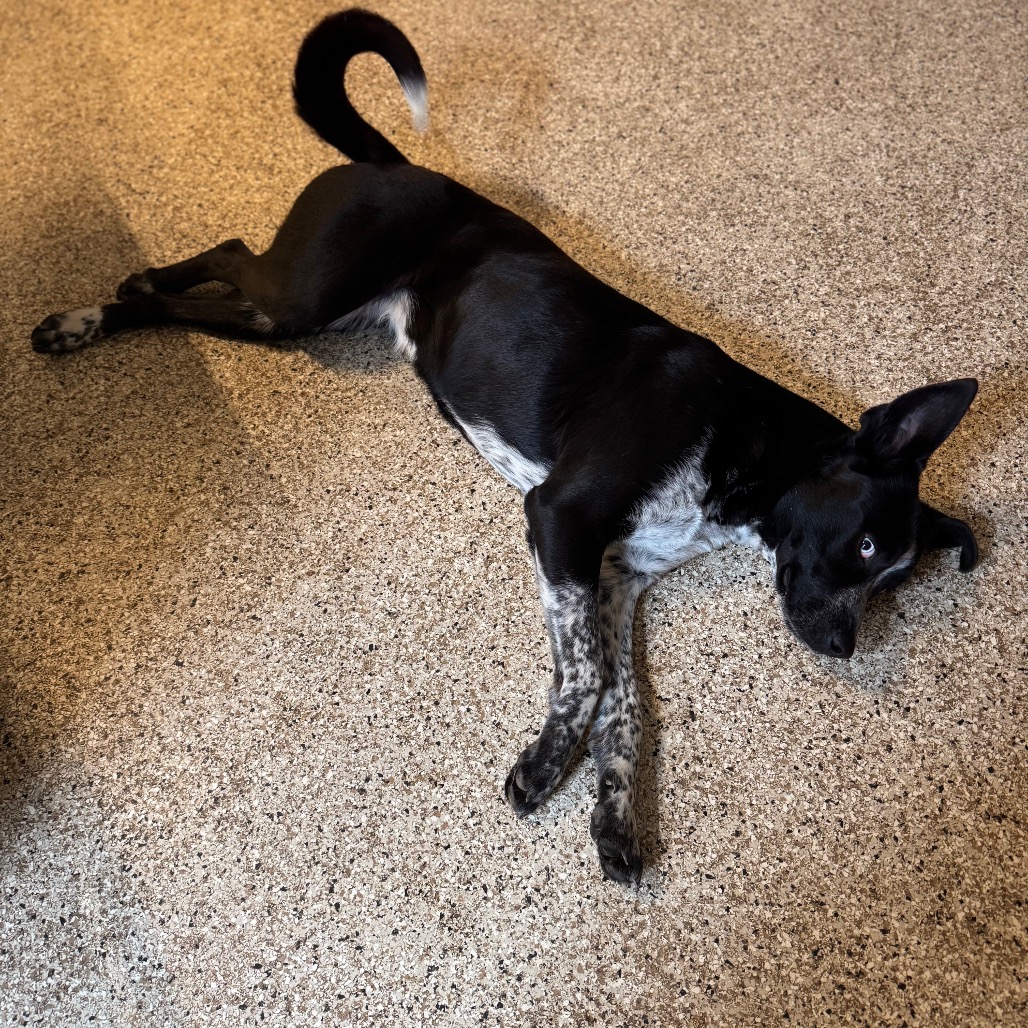 Jane — thumbnail 4