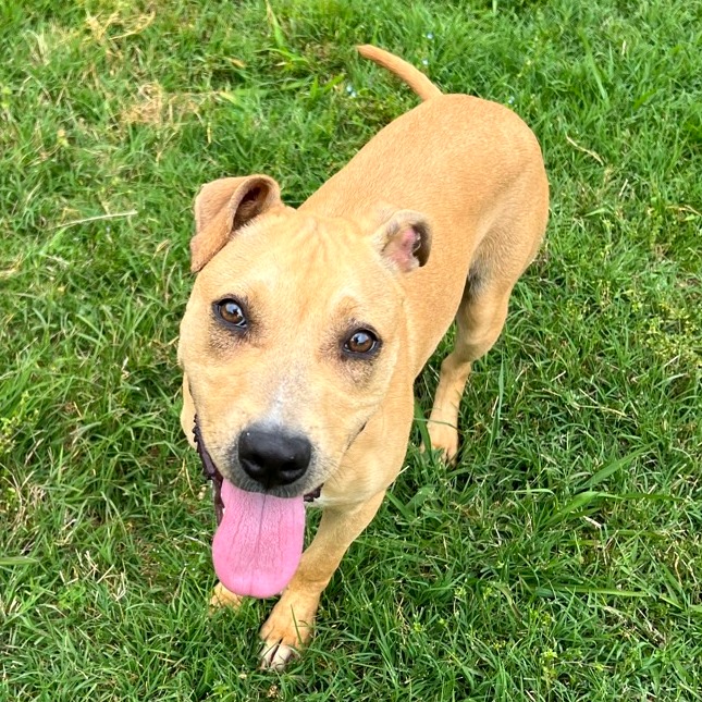 Peggy Schuyler — thumbnail 9