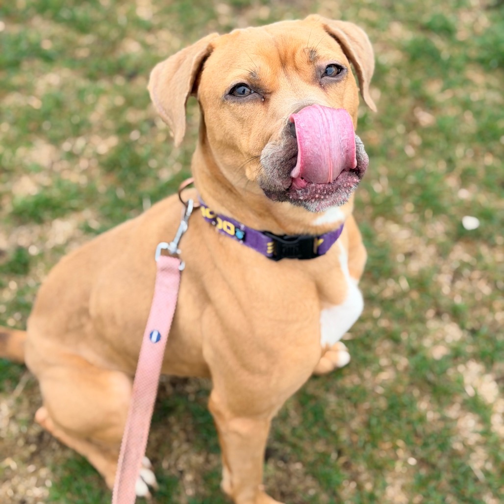 Milli — thumbnail 2