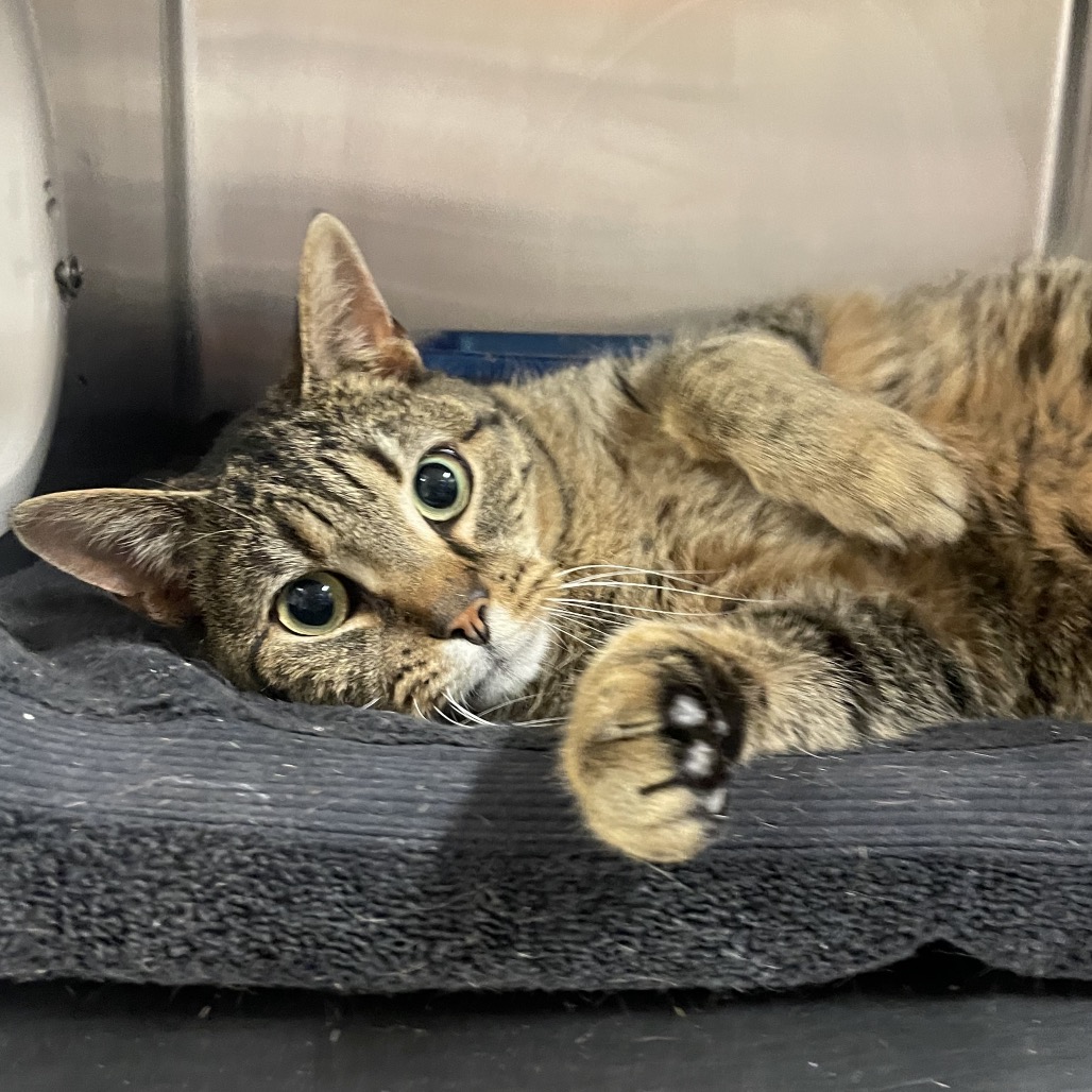 d3c250320765ca083165611a6d069f60