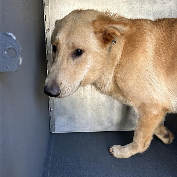 Obie, photo 2