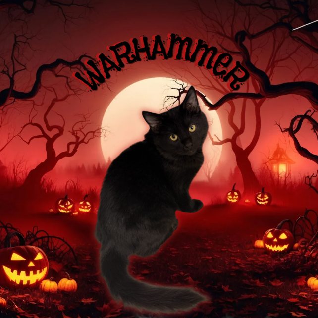 Warhammer: Male 5 Domestic Medium Hair