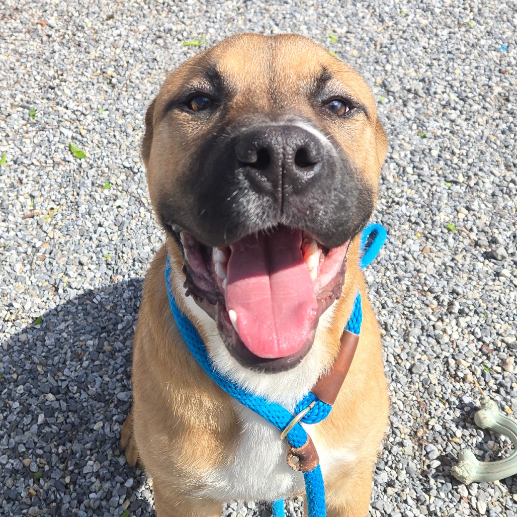 d70503f6c470b530abe32288061a27f3