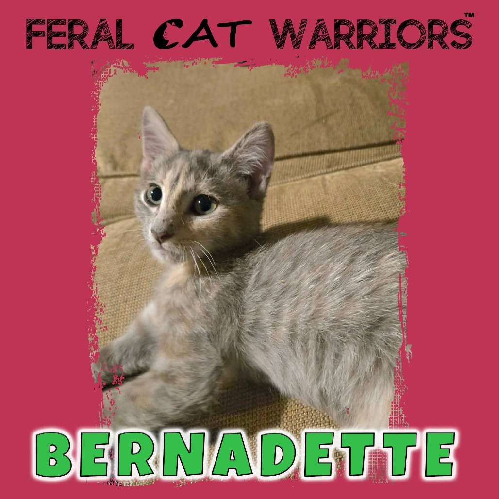 Bernadette