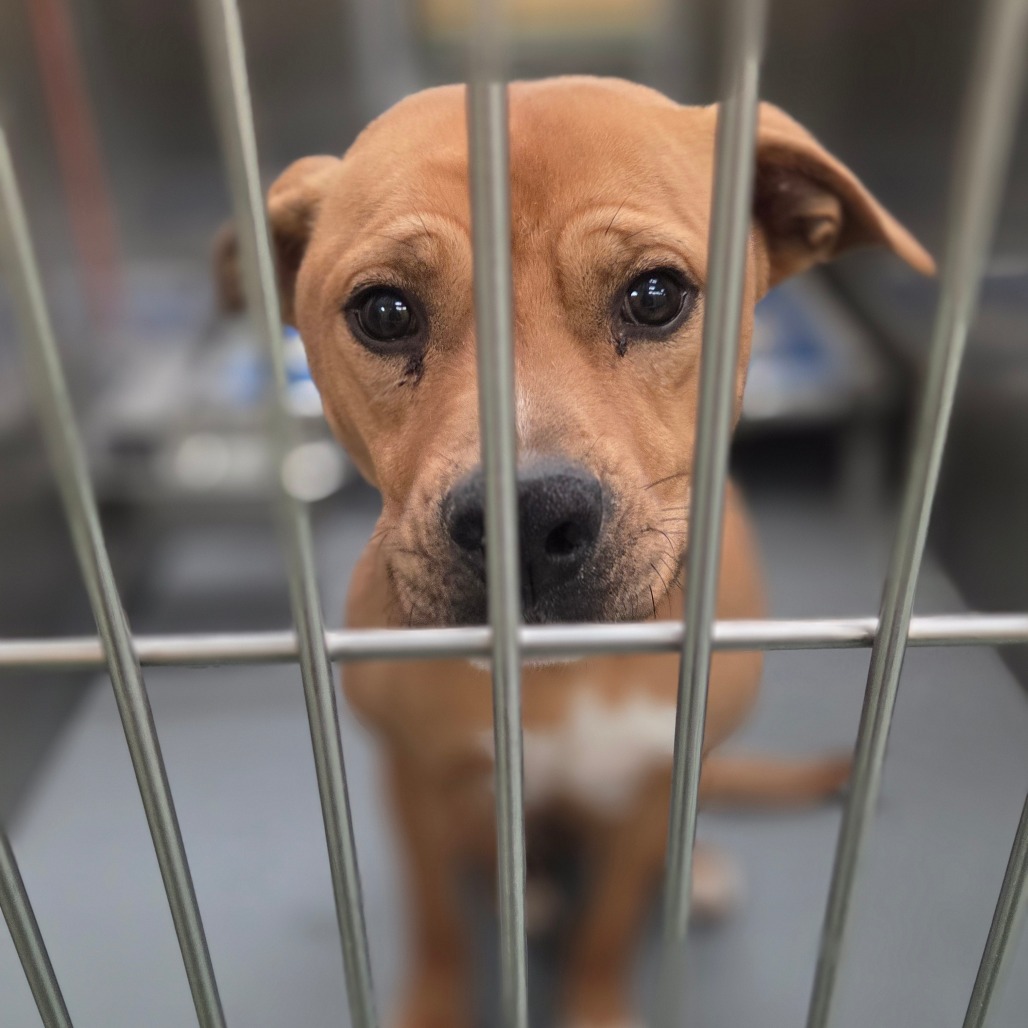 Sandy — thumbnail 4