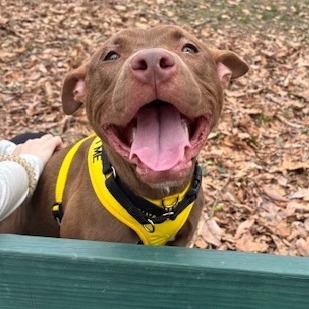 Jeffery — thumbnail 2