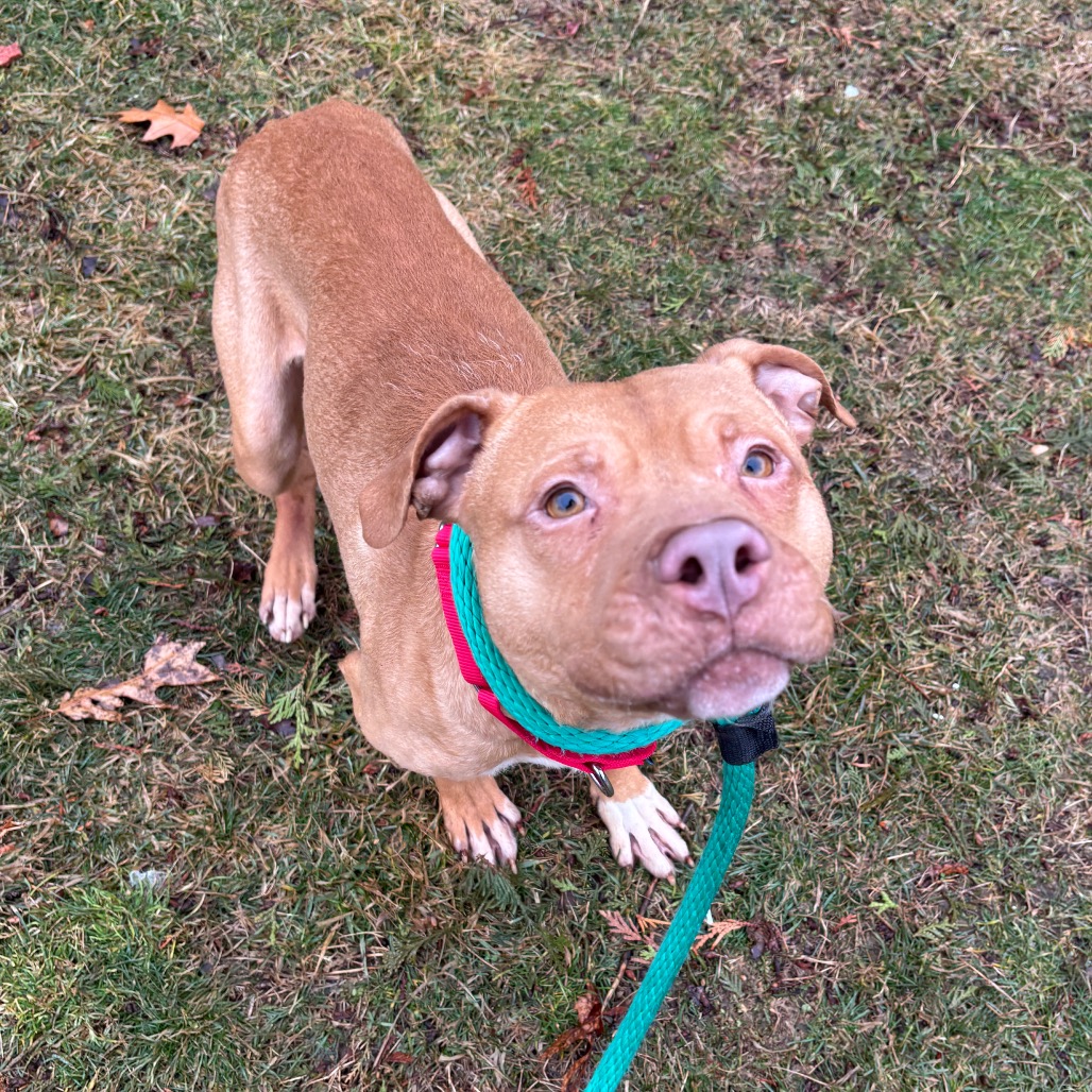 Freedom — thumbnail 4