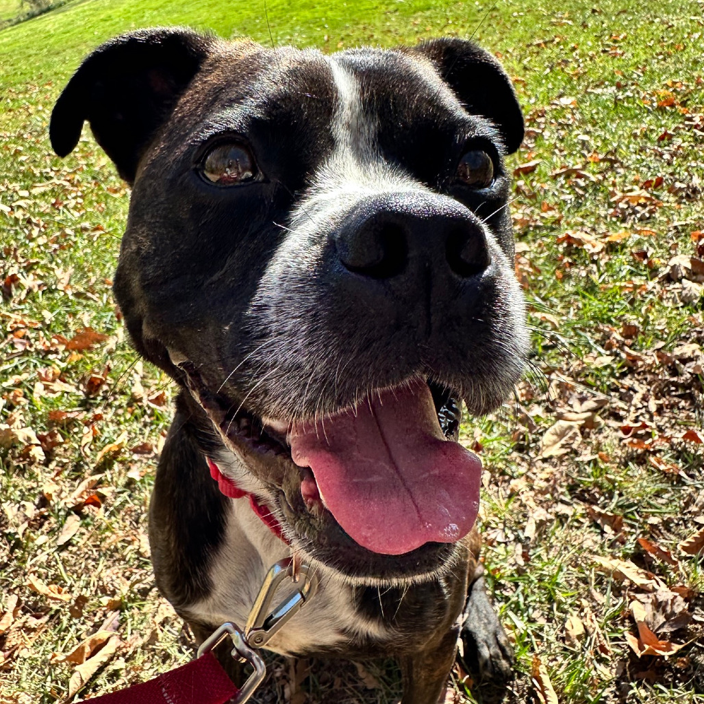 Gage, photo 43