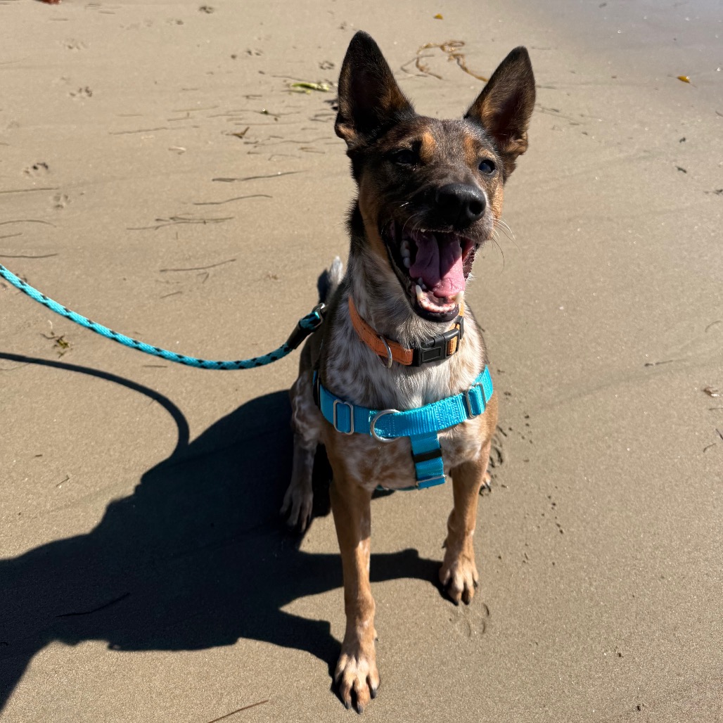 Cash, photo 26