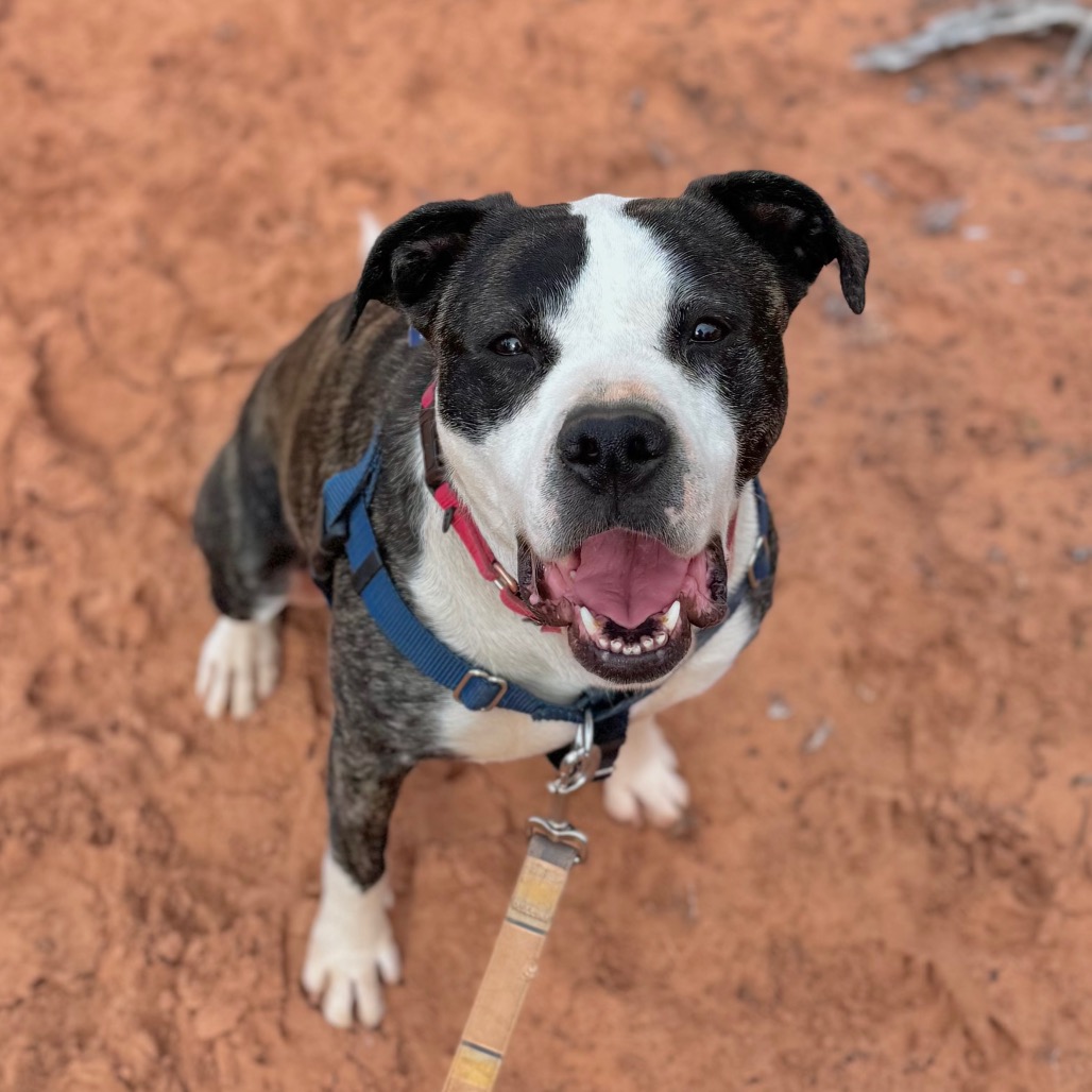 Hattie, photo 20