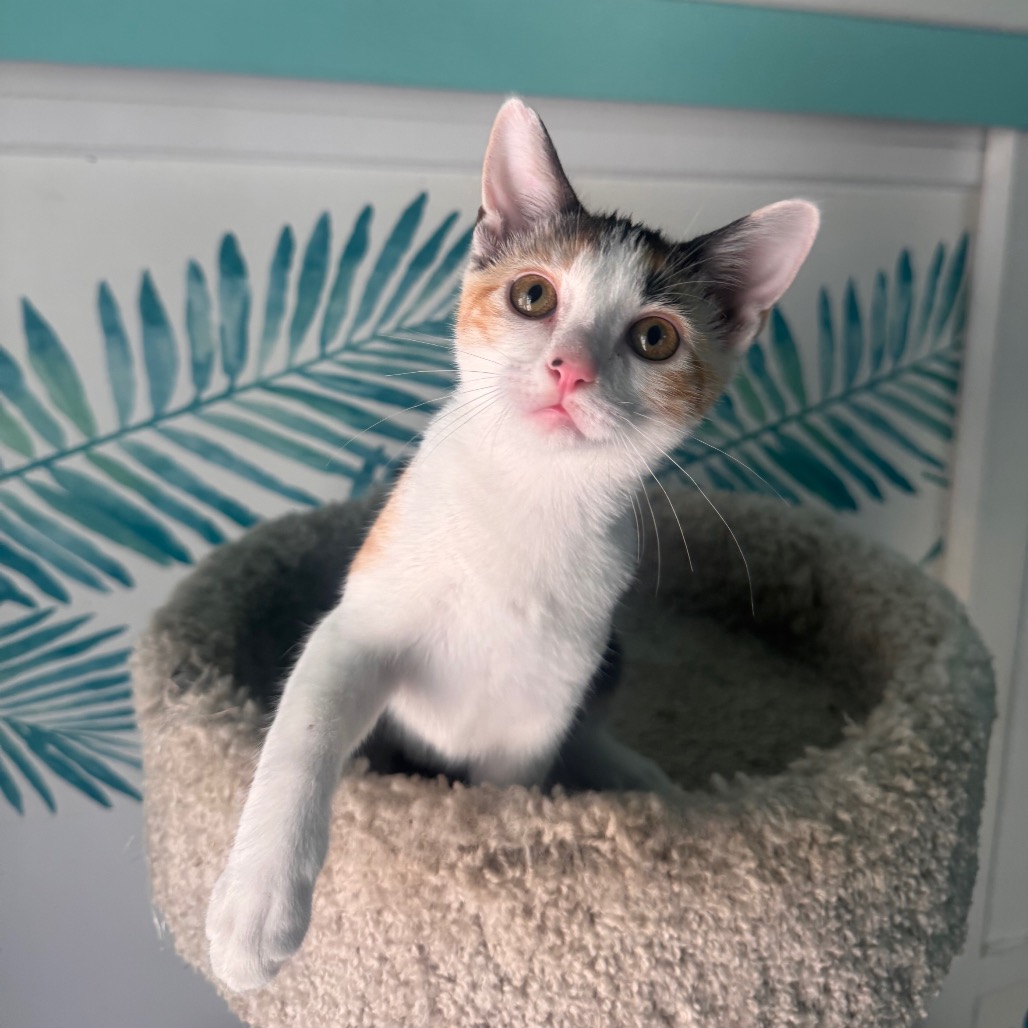 Winnie Pearl, photo 4