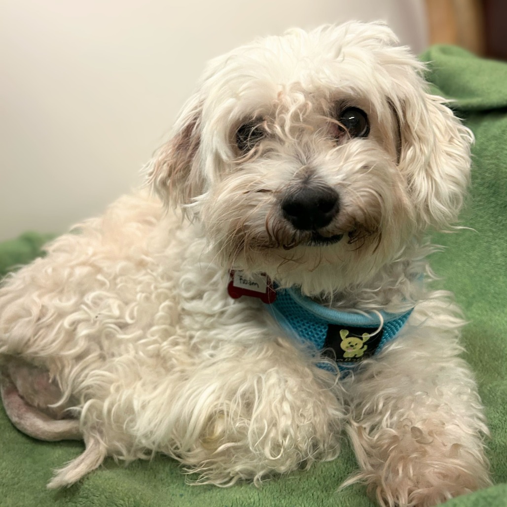 Roam 13751 — thumbnail 2