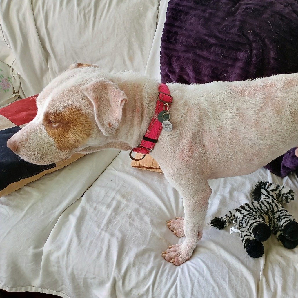 Bruce-Foster, photo 2