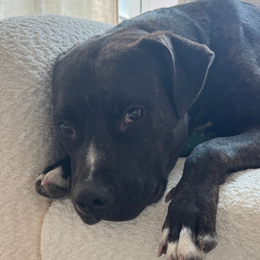 Humberto — thumbnail 5