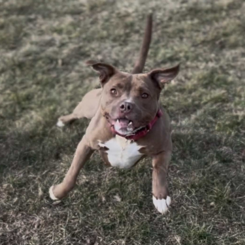 Nala — thumbnail 5