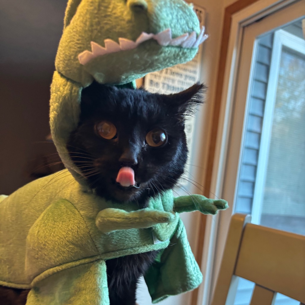 Squiggles -I'm in a foster home, Call to meet with me!, photo 10