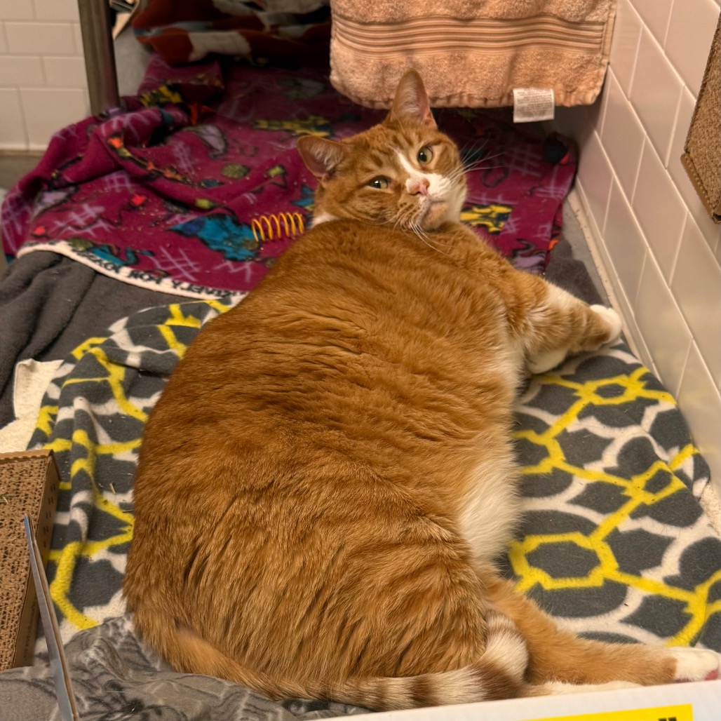 Photo of Freddy and QZ 11