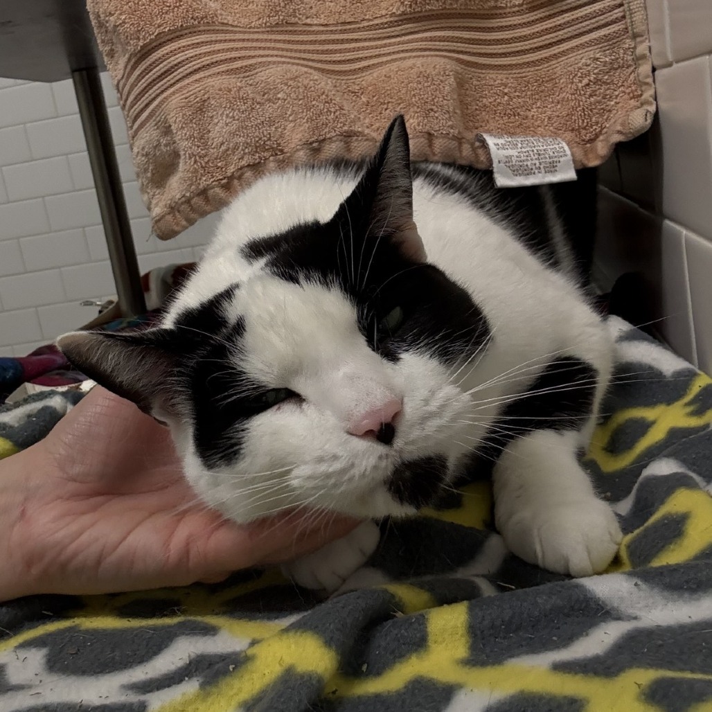 Photo of QZ and Freddy 3