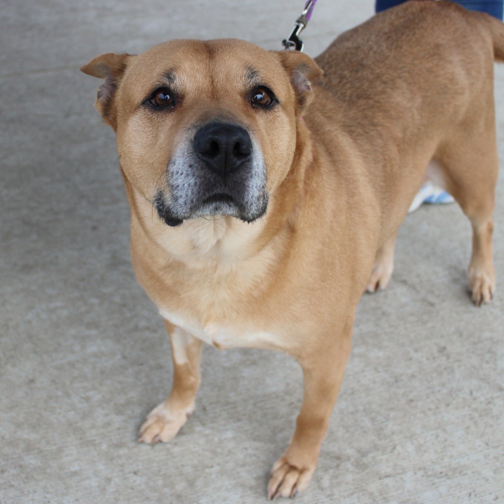 Tella Rose — thumbnail 5