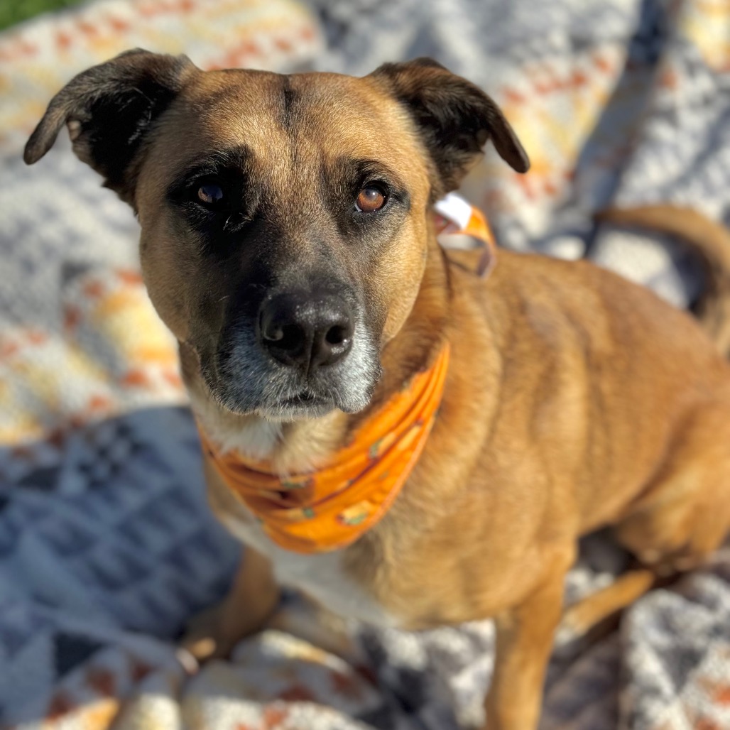 Bubz, photo 28