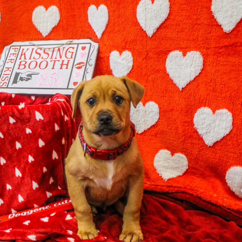 Robbie FunPants — thumbnail 4