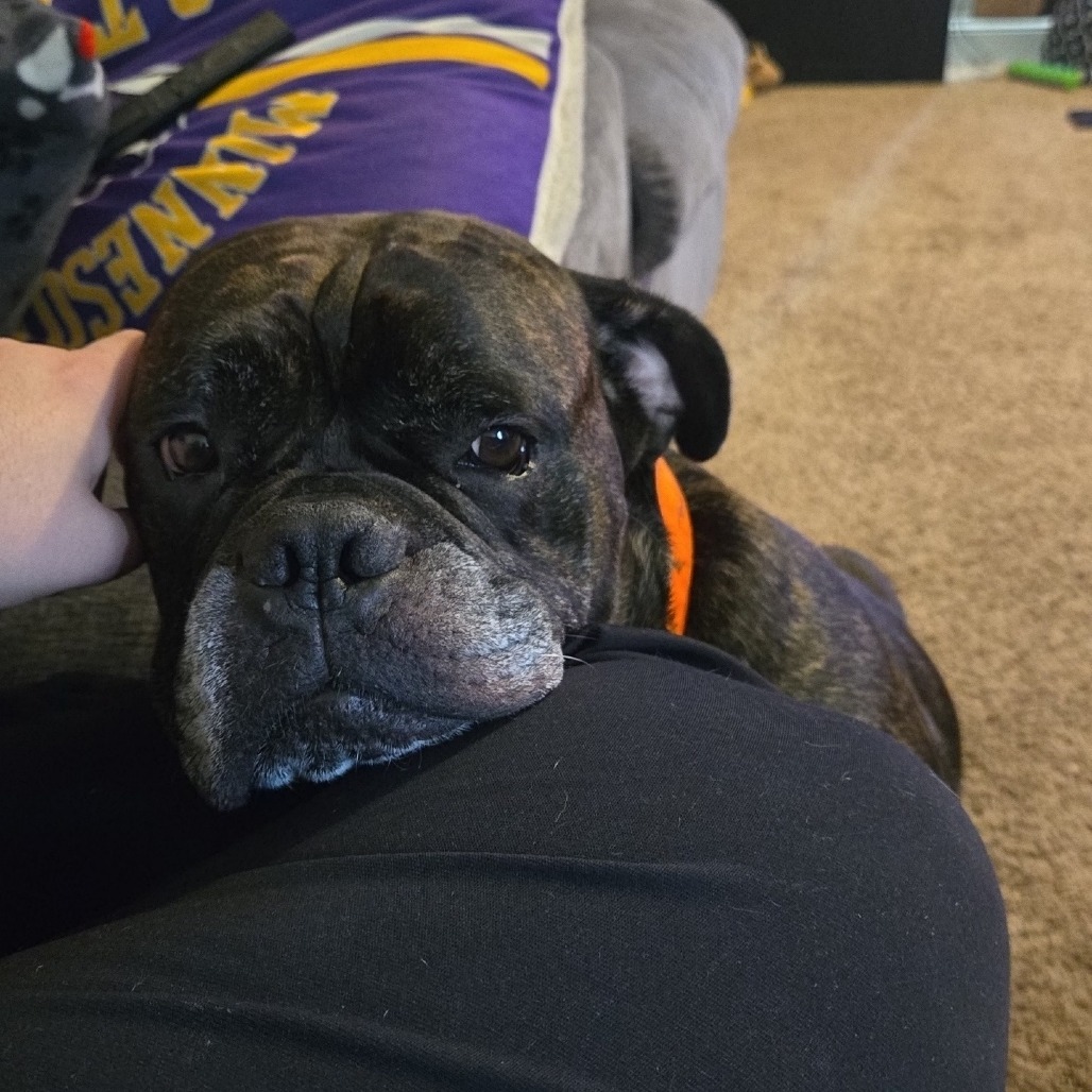 Pepper, photo 5