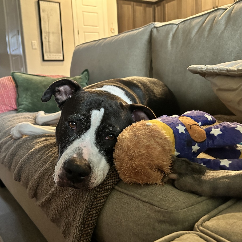 Stella, additional photo
