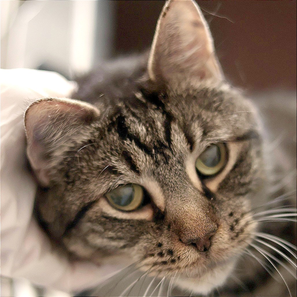 Cupid, photo 21