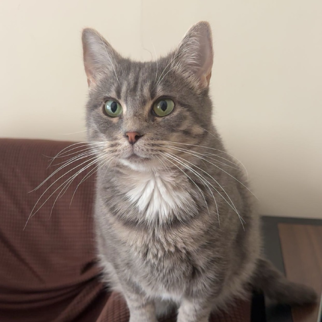 Kiara, photo 7