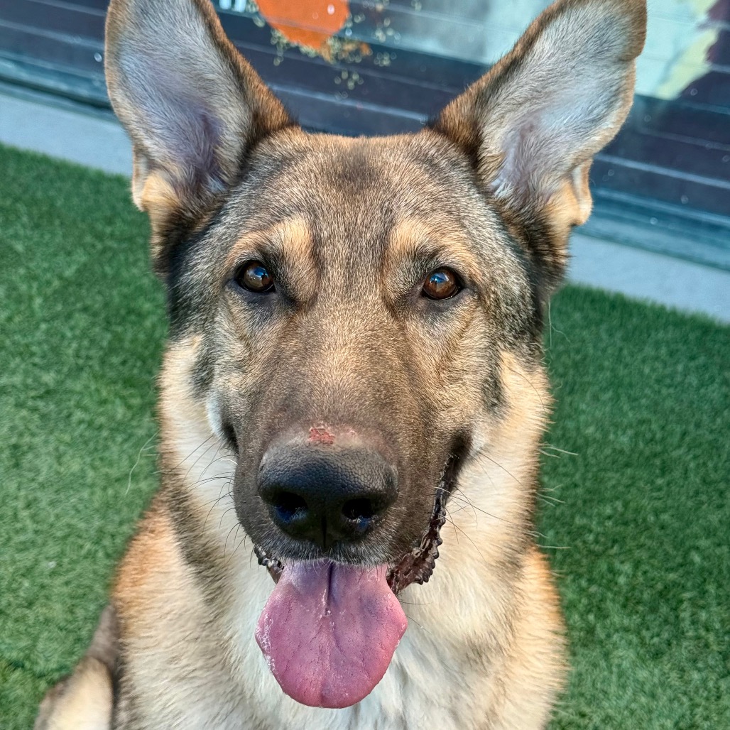 Max